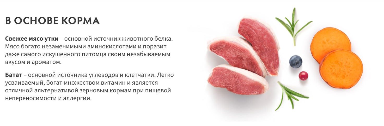 Сухой корм для собак Grandorf Adult Mini Breeds Fresh Duck&Sweet Potato (1кг) — фото 2