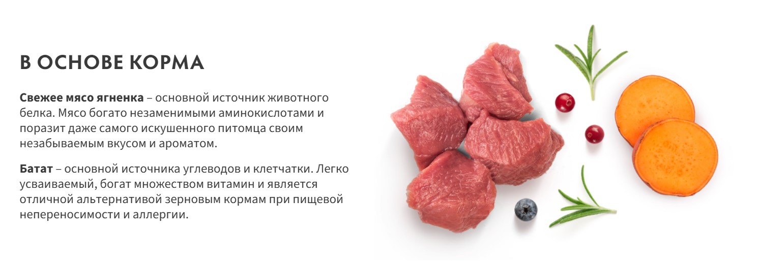 Сухой корм для собак Grandorf Adult Medium&Maxi Breeds Fresh Lamb&Sweet Potato (10кг) — фото 2