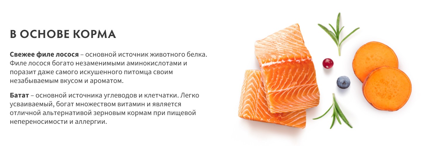 Сухой корм для собак Grandorf Adult Medium&Maxi Breeds Fresh Salmon&Sweet Potato (10кг) — фото 2