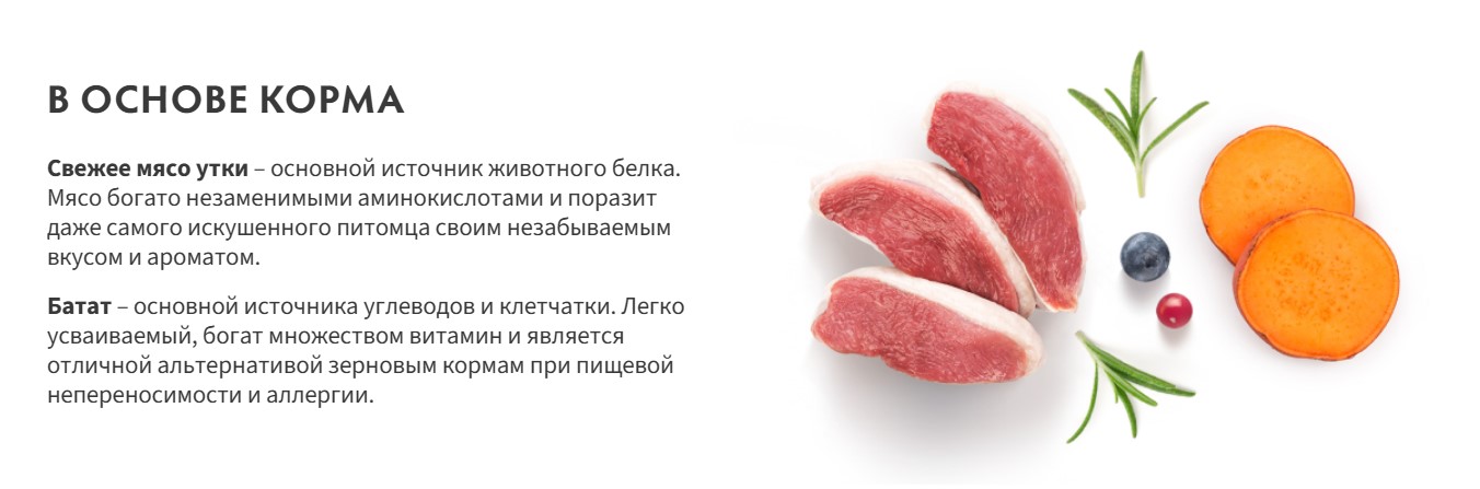 Сухой корм для собак Grandorf Adult Medium&Maxi Breeds Fresh Duck&Sweet Potato (10кг) — фото 2