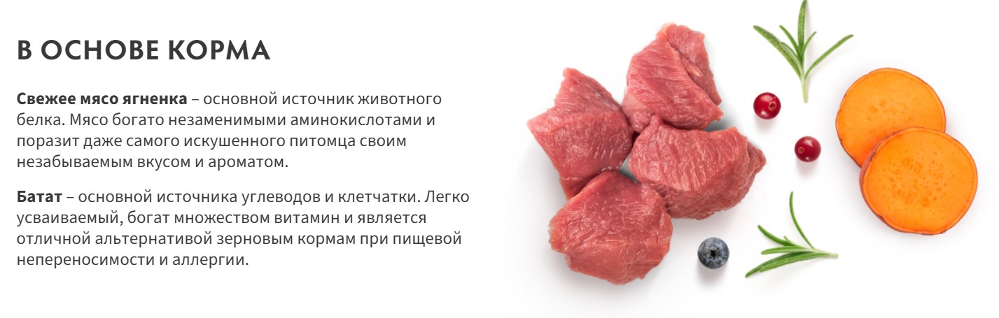 Сухой корм для собак Grandorf Adult Maxi Breeds Fresh Lamb&Sweet Potato (10кг) — фото 2