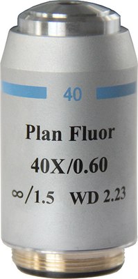

Объектив для микроскопа, 40x/0.60 LPan беск/1.50 / 31167