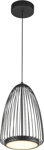 Потолочный светильник Евросвет Comodita 40009/1 LED