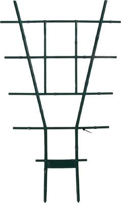 

Шпалера, 4496974