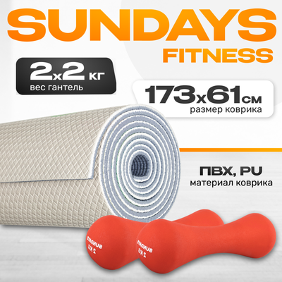 Набор для фитнеса Sundays Fitness Набор гантелей IR92004-D 2х2кг + Коврик Feather IR97567 (красный) -