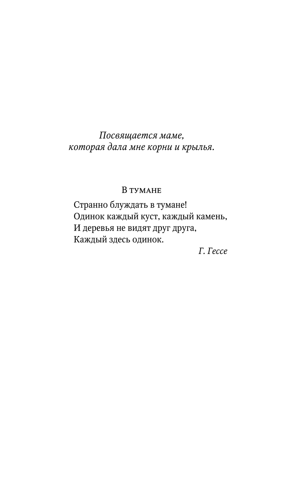Художественная книга АСТ Мерцание тумана, твердая обложка (Ома Аня) — фото 4