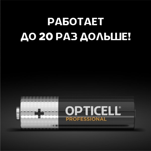 Комплект батареек Opticell Professional AA (2шт)