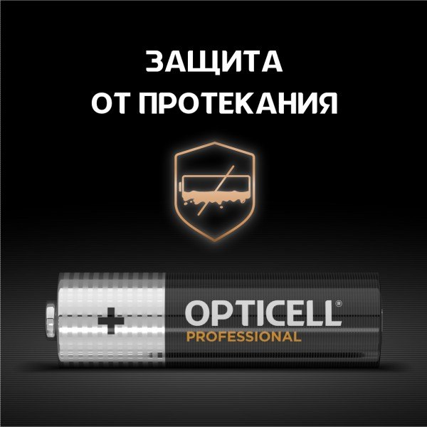Комплект батареек Opticell Professional AA (2шт)