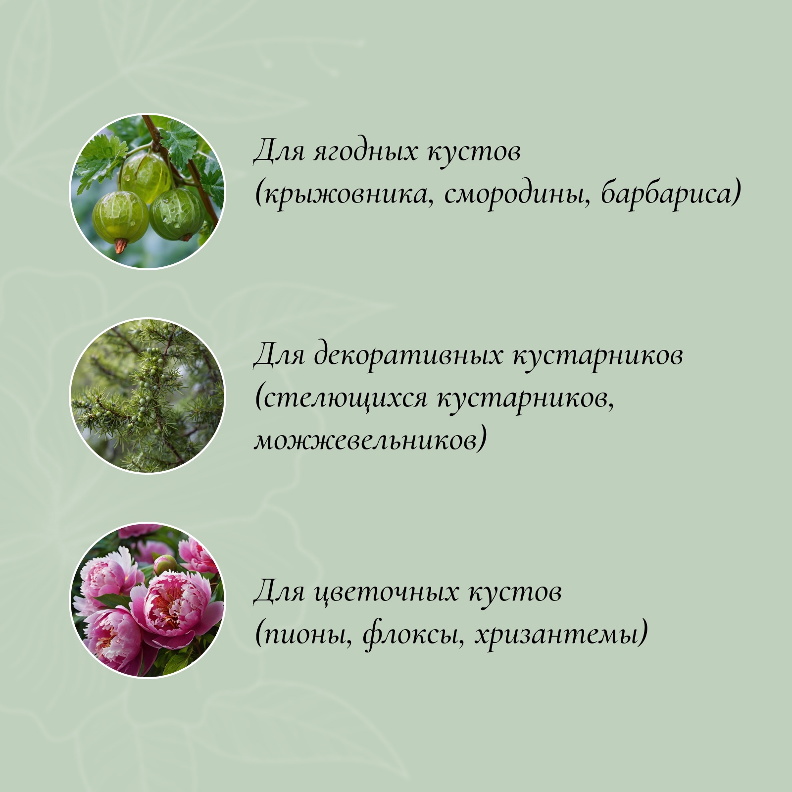 Опора для растений GREENGO Кустодержатель 4284829 (2шт, зеленый) — фото 3