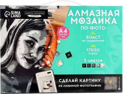 

Набор алмазной вышивки, Gray / 10699405