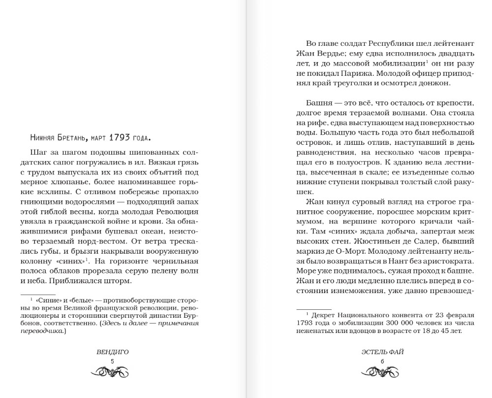 Художественная книга АСТ Вендиго, твердая обложка (Фай Эстель) — фото 2