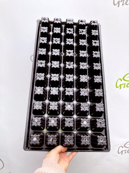 Кассета для рассады GreenTerra К-50