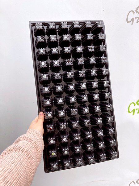 Кассета для рассады GreenTerra К-72
