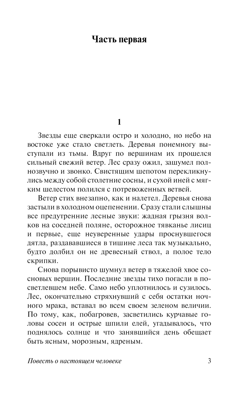 Художественная книга АСТ Повесть о настоящем человеке, твердая обложка (Полевой Борис) — фото 4
