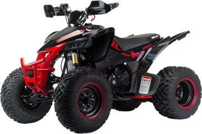 Квадроцикл Motoland Rally 250 / pm675977163 - 
