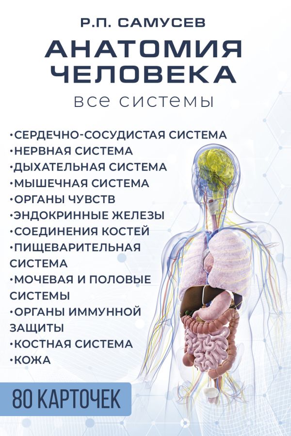 Набор карточек АСТ Анатомия человека. 80 карточек. Все системы, твердая обложка (Самусев Рудольф)