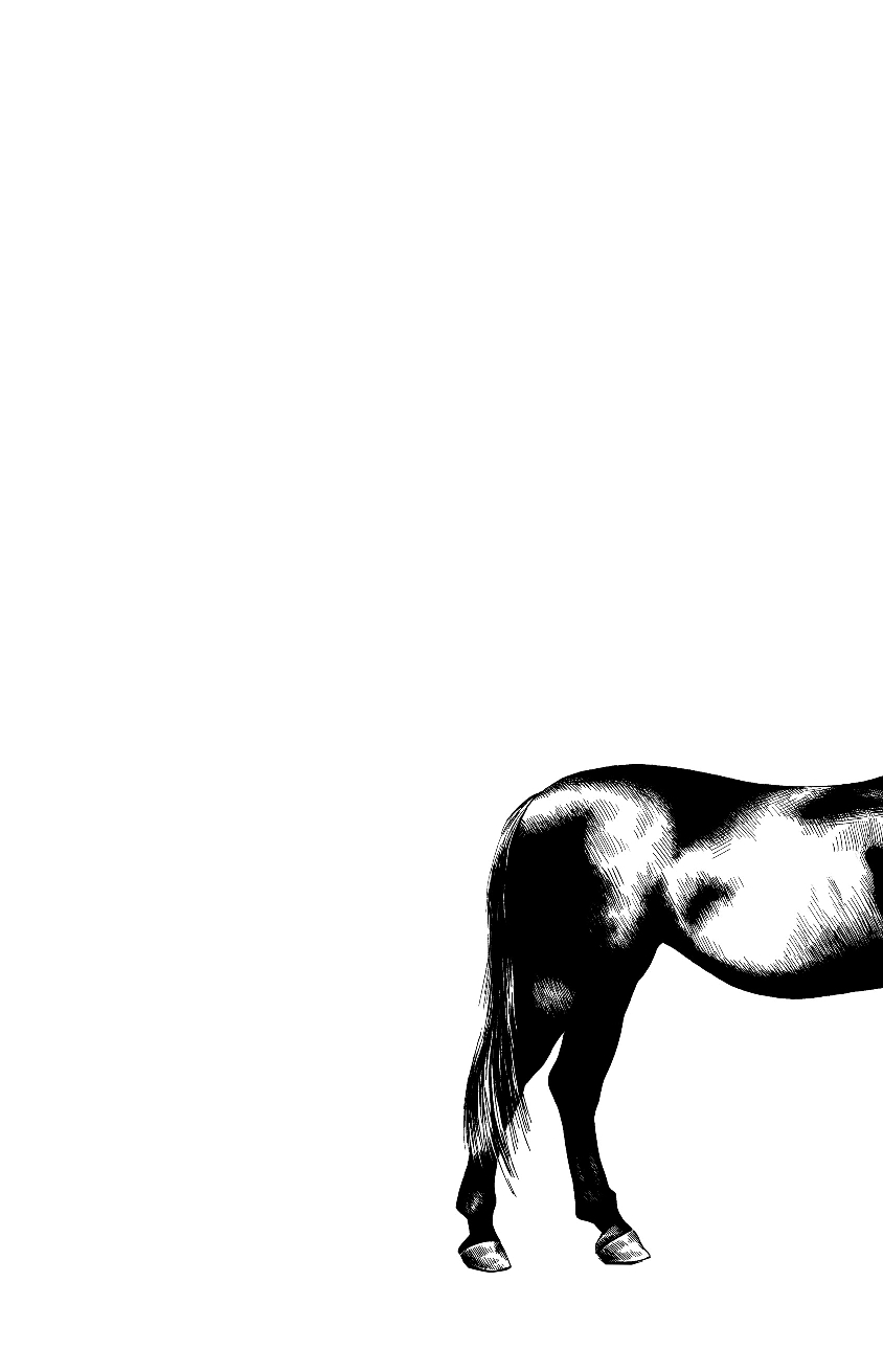 Художественная книга Inspiria Как-то лошадь входит в бар, мягкая обложка (Гроссман Давид) — фото 2