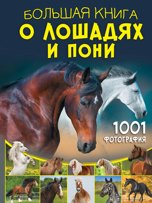 Энциклопедия АСТ Большая книга о лошадях и пони. 1001 фотография, твердая обложка (Спектор Анна) - 