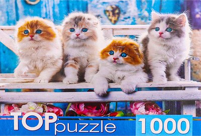 

Пазл, Котята скоттиш-фолд / ШТТП1000-4154