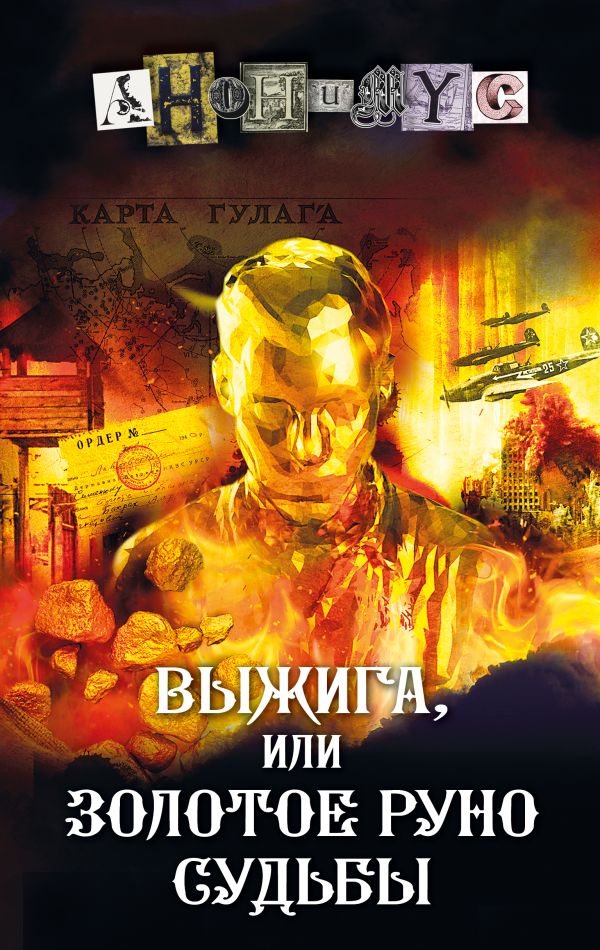 Художественная книга АСТ Выжига, или Золотое руно судьбы, твердая обложка (Анонимус) — фото 1
