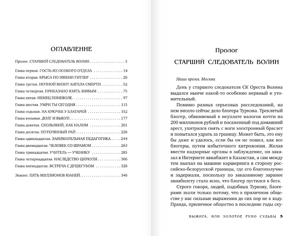 Художественная книга АСТ Выжига, или Золотое руно судьбы, твердая обложка (Анонимус) — фото 2