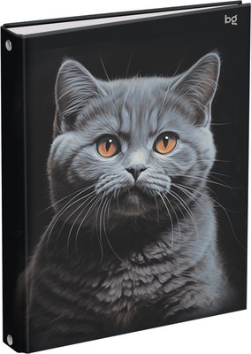 Тетрадь BG Кот / ТТ5к160_лг 62925 (160л) - 