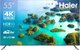 Телевизор Haier 55 Smart TV S2 - 