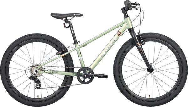 Велосипед Maxiscoo 5bike 24 M200 2025 / MSC-M5-2411