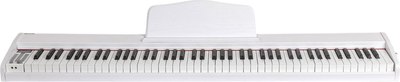 Цифровое фортепиано Aiwa ASZ-88W - 