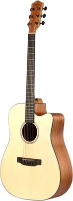 

Акустическая гитара, DAG-1C / EC984