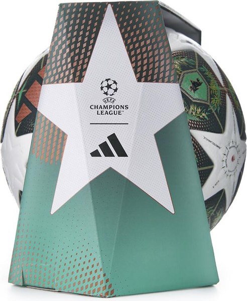 Футбольный мяч Adidas UCL Pro JH1279 (размер 5)