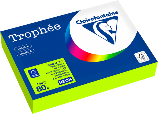 Бумага Clairefontaine А4 80г/м2 / 2977PC