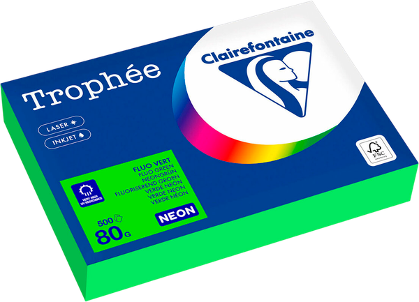 Бумага Clairefontaine А4 80г/м2 / 2975C