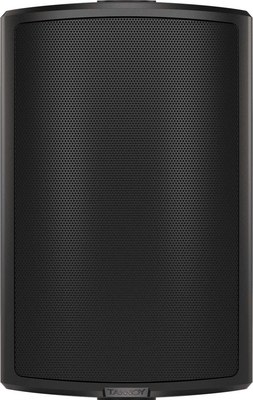 Настенная акустика Tannoy AMS 6ICT LS - 
