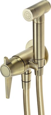 

Гигиенический душ, Temisto BQT M34M