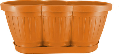 

Вазон, Гусеница 1341634