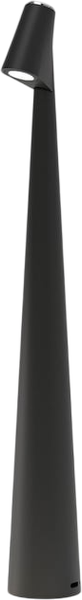 Настольная лампа Elektrostandard Elite TL70250