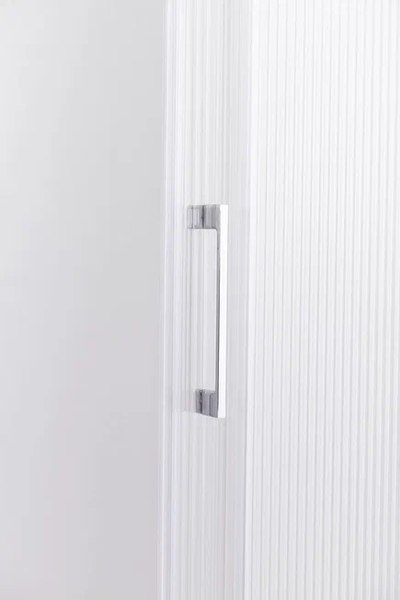Купить Душевой уголок PELICAN SSW020100RD в Могилеве