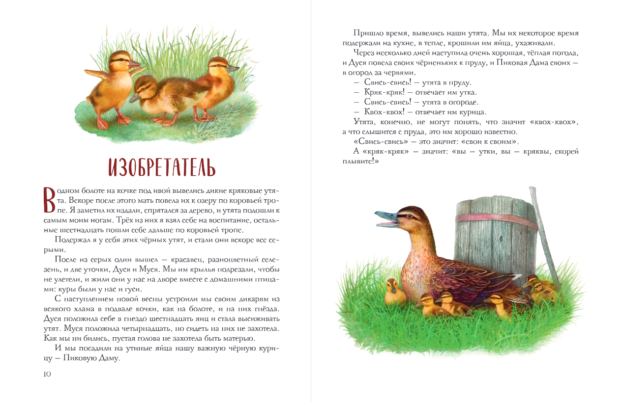 Художественная книга Эксмо Золотой луг. Рассказы о животных, твердая обложка (Пришвин Михаил) — фото 5