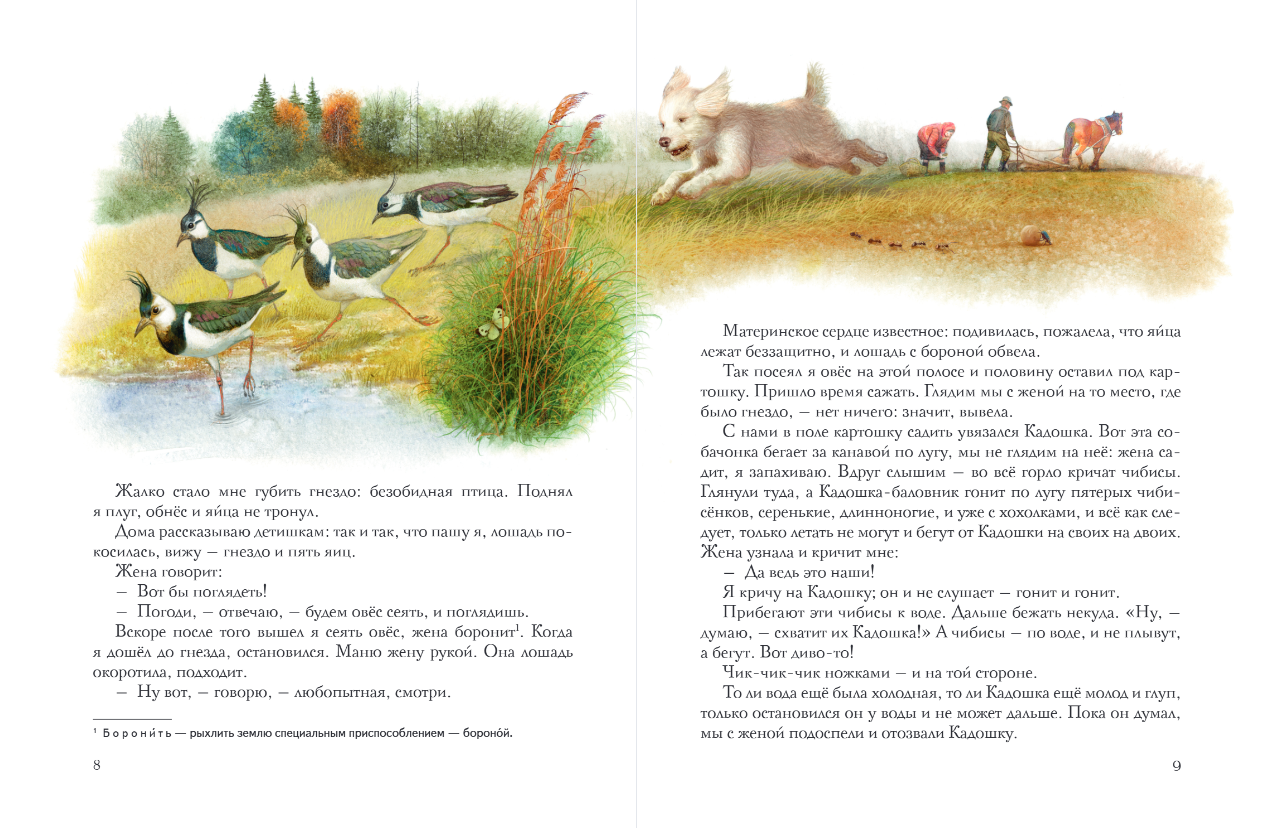 Художественная книга Эксмо Золотой луг. Рассказы о животных, твердая обложка (Пришвин Михаил) — фото 4