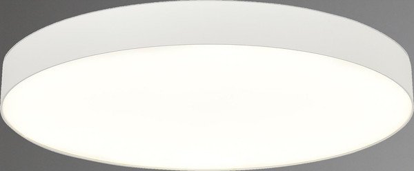 Потолочный светильник ST Luce ST601.542.18