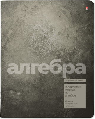 Тетрадь предметная Альт Stone Color. Алгебра / 7-48-1358/09 (48л) - 