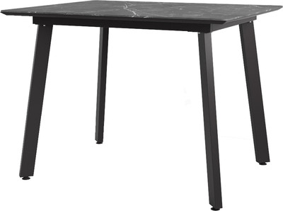 Обеденный стол ДСВ Граф 100x80 (черный) -
