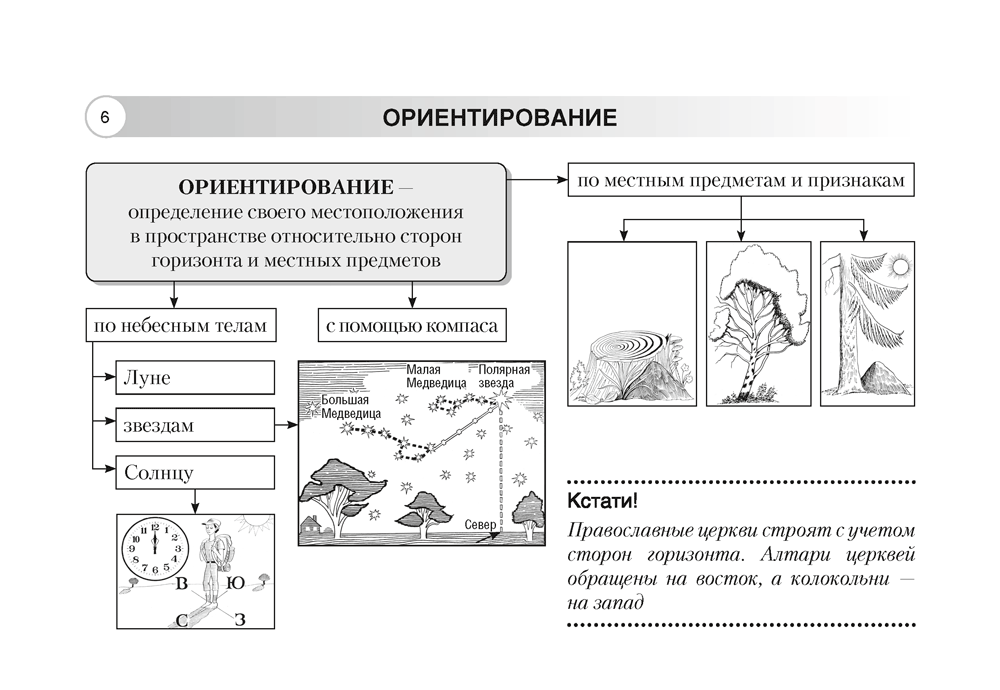 Учебное пособие Аверсэв География. 6 класс. Опорные конспекты. 2025, мягкая обложка (Кольмакова Елена) — фото 4