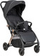 Детская прогулочная коляска Costa Rio / CR-1 (черное золото) - 
