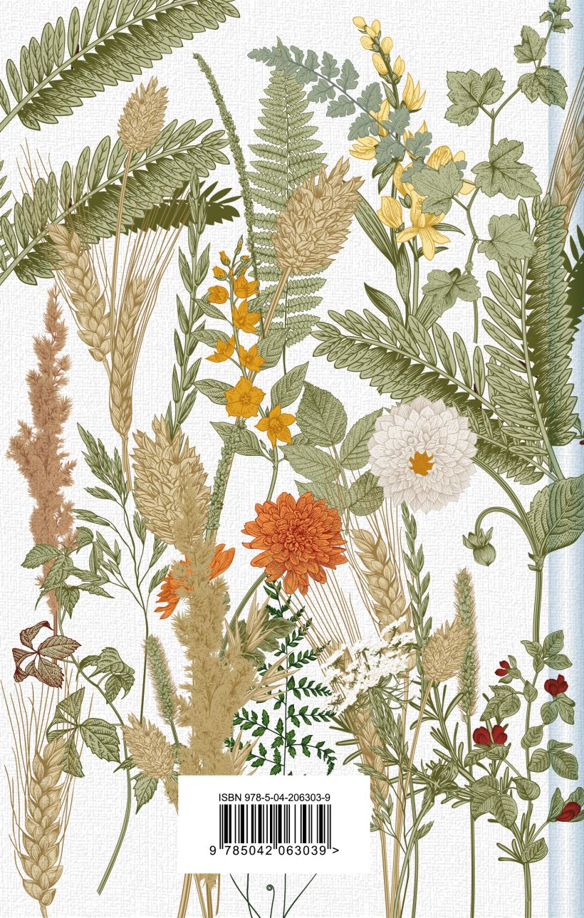 Художественная книга Эксмо Новые Авонлейские хроники, твердая обложка (Монтгомери Люси) — фото 2