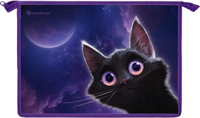 Папка для тетрадей Schoolformat Игривый космокотик / ПТПМА4-ИКК - 