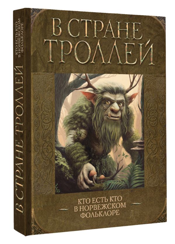 Книга АСТ В стране троллей. Кто есть кто в норвежском фольклоре (твердая обложка) — фото 2