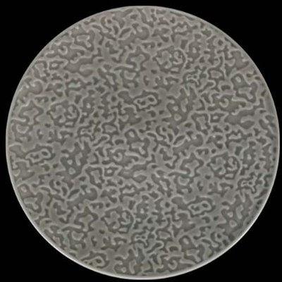 

Тарелка закусочная (десертная), Nori LQ-QK15288-GRY / фк5610