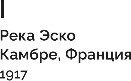 Книга Азбука Когда нас держат, твердая обложка (Майклз Энн)